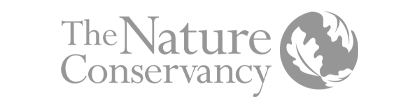 logo7