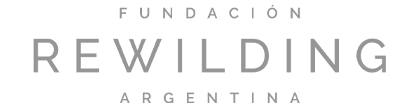 rewilding