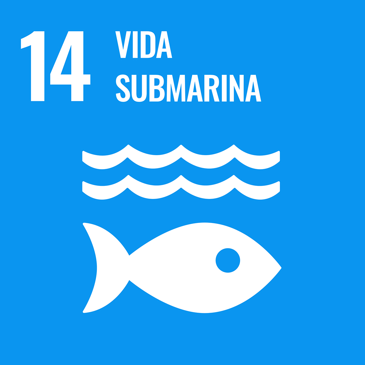 SDG_icons_