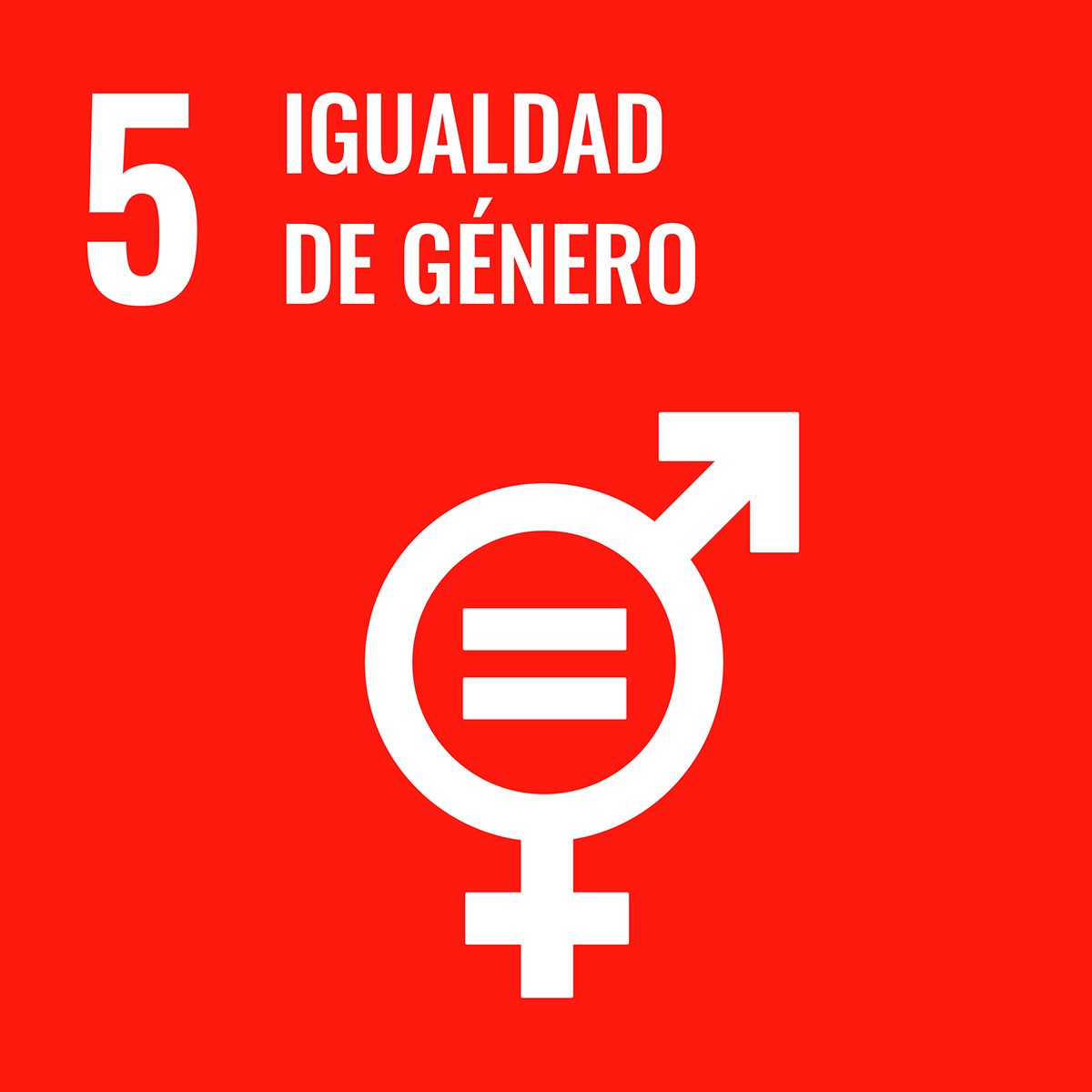SDG_icons_ACEFRS JUNE2019_MS
