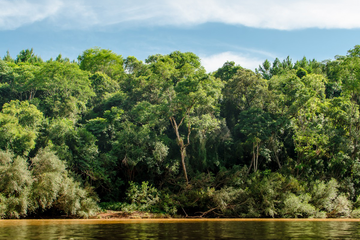 argentina_misiones-166675.jpg!d