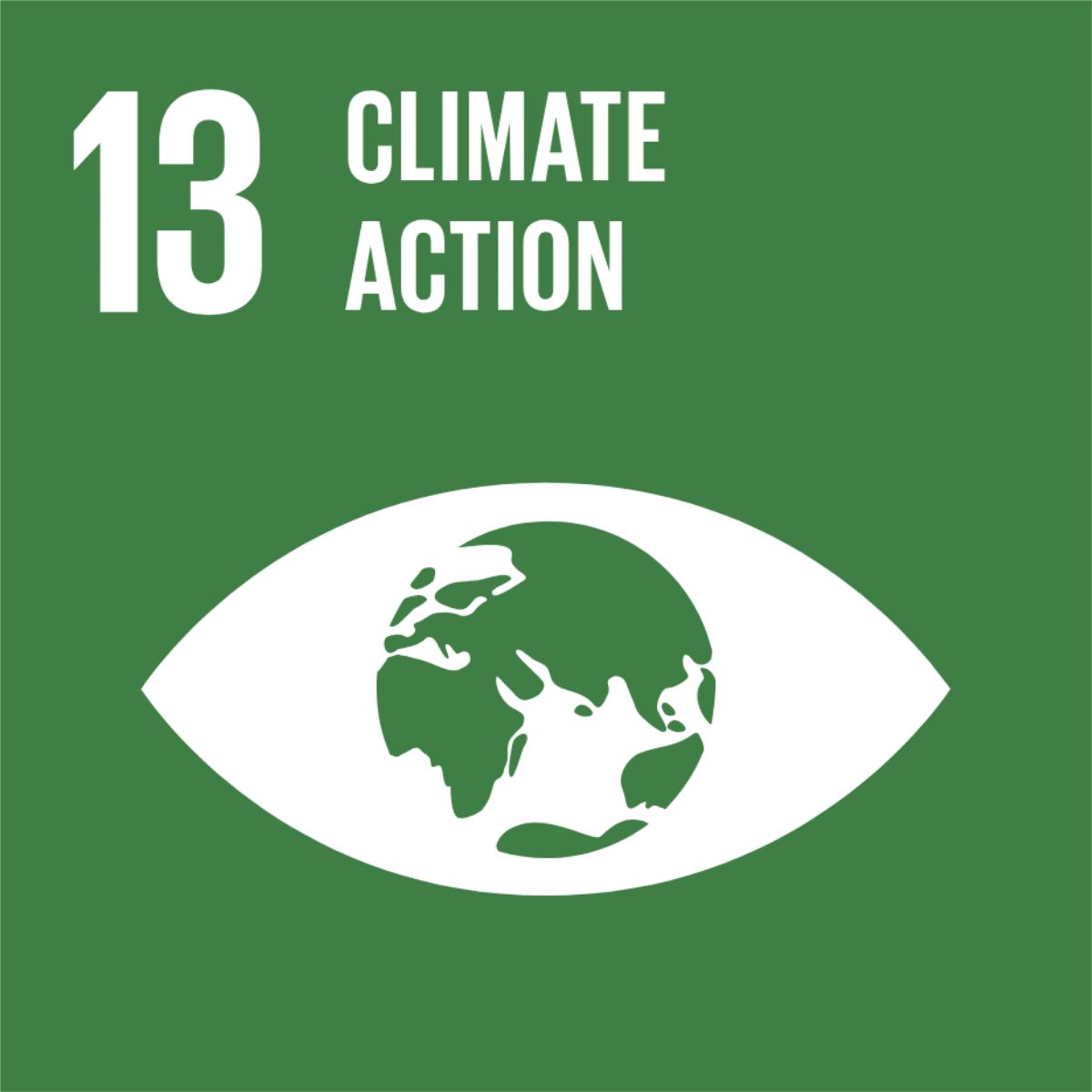 SDG_icons_ACEFRS JUNE