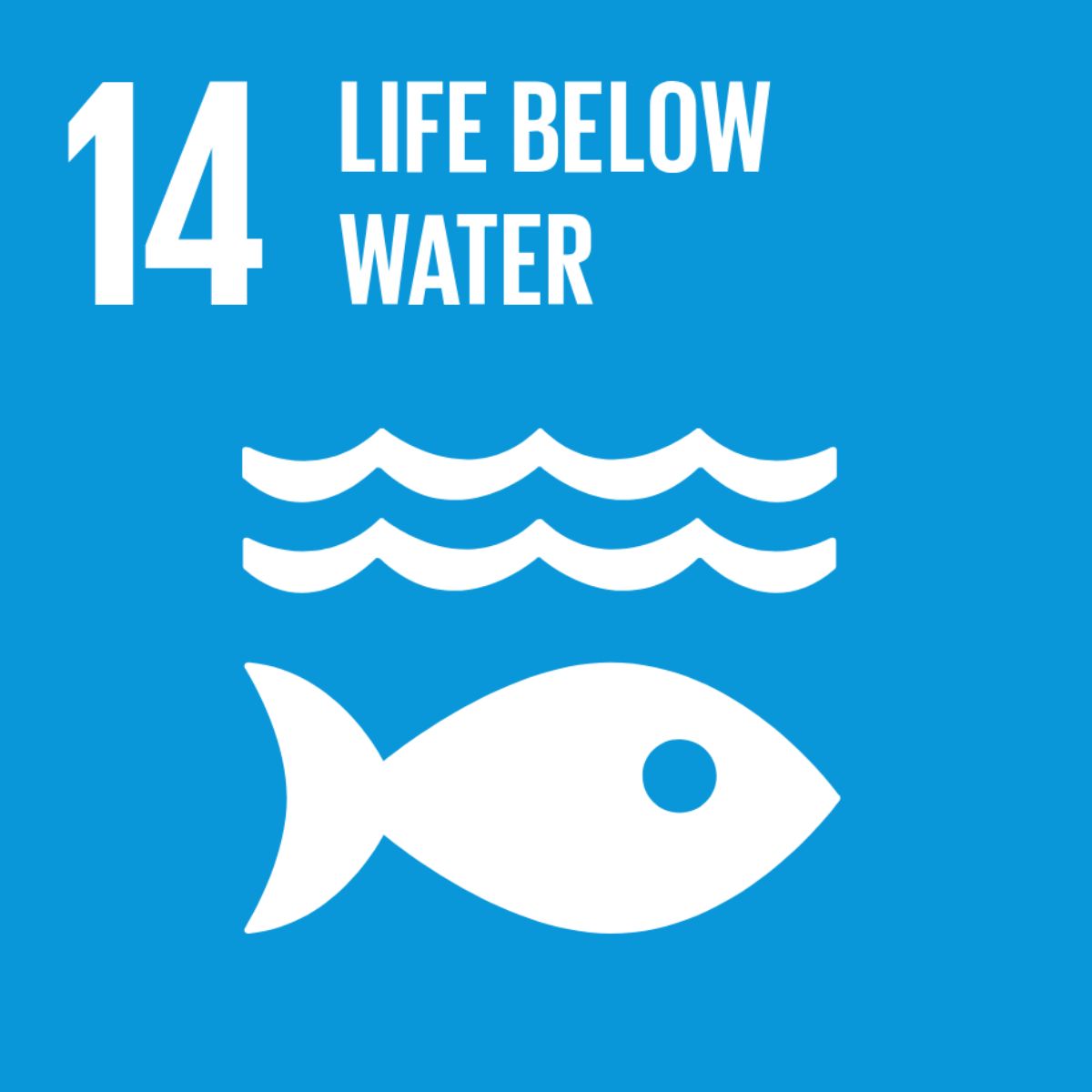 SDG_icons_