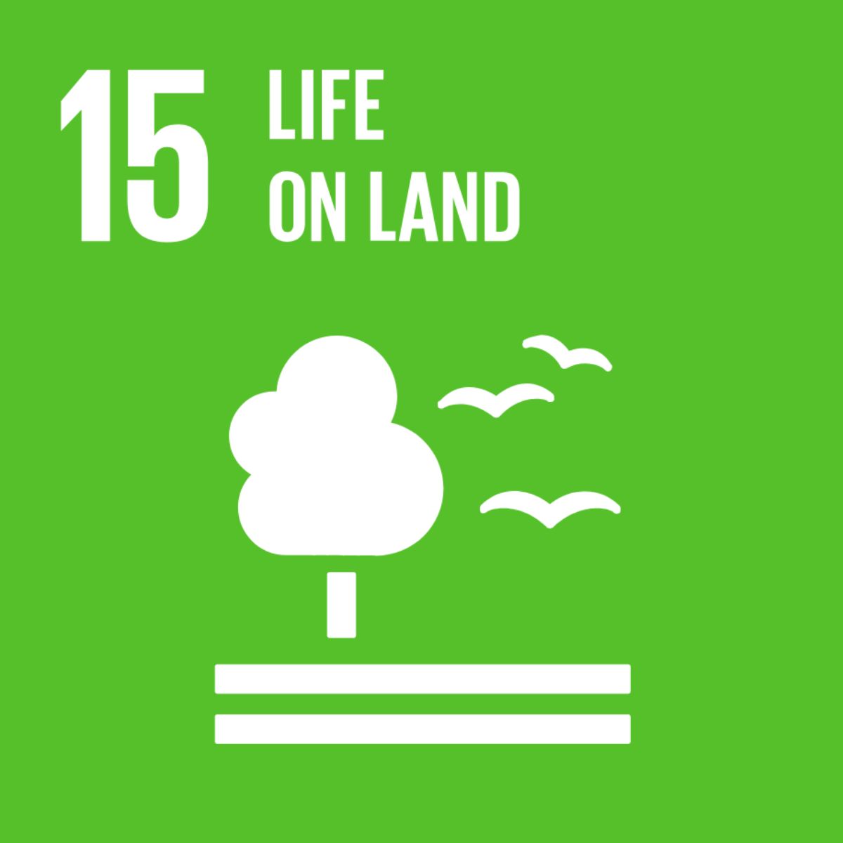S_SDG-goals_icons-individual-rgb-15